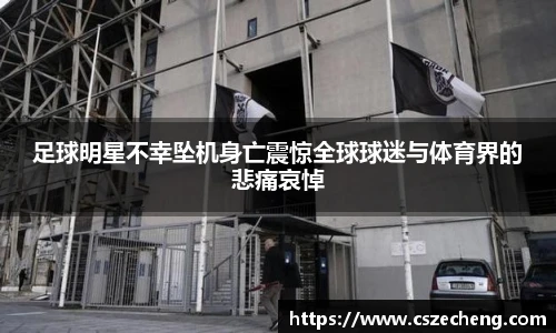 足球明星不幸坠机身亡震惊全球球迷与体育界的悲痛哀悼